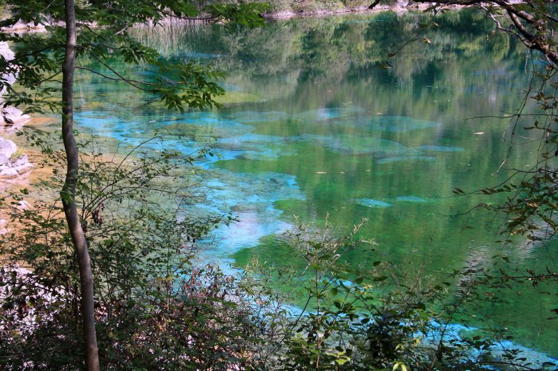 La riserva naturale lago del cornino e l''alto tagliamento